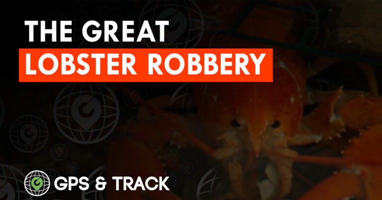When Lobsters Go Missing: What the Costco Heist Teaches Us About Cargo Security
